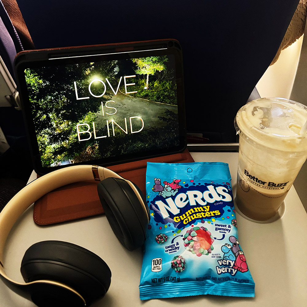 airplane necessities