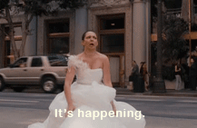bridesmaids - it's happening it's happening it happened