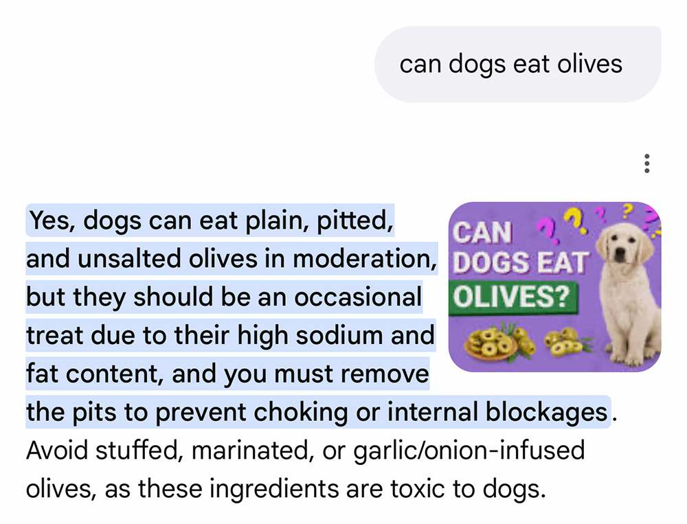 can dogs eat olives