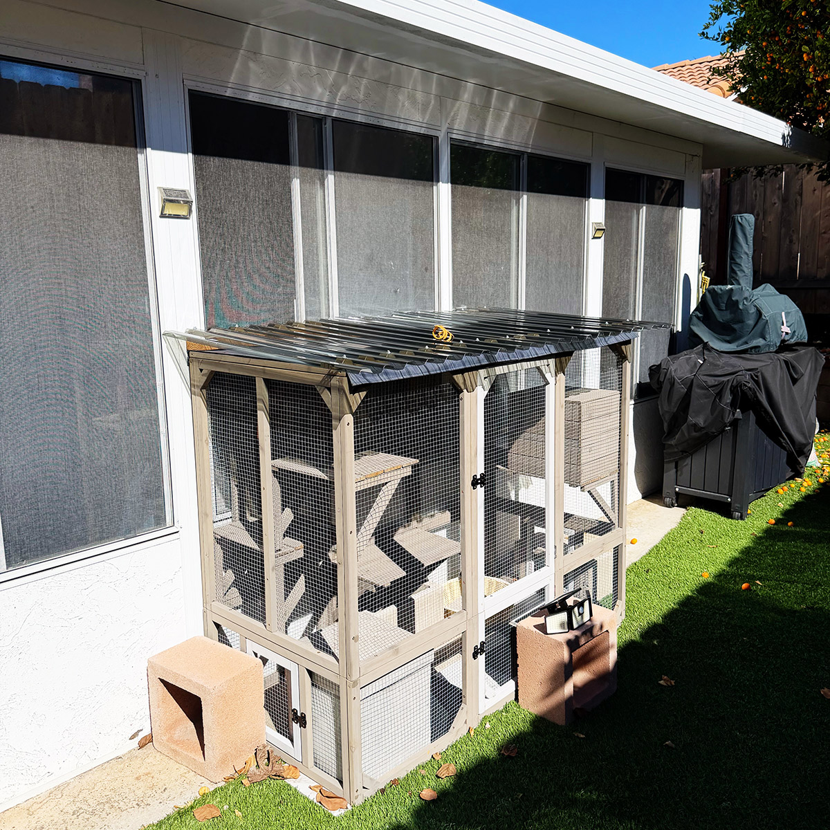 catio