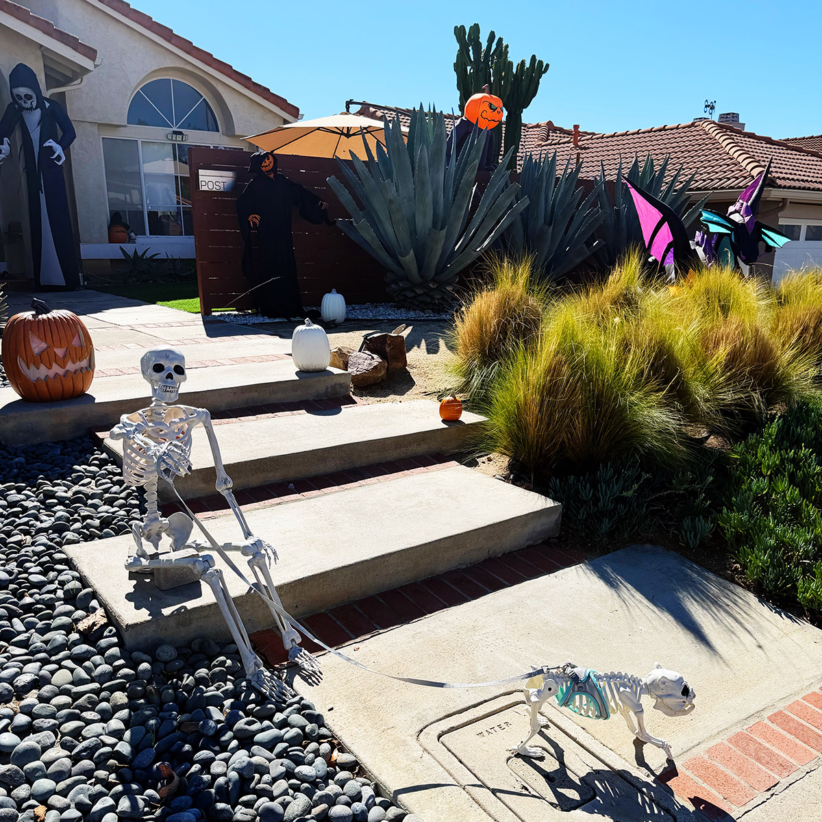 halloween decorations