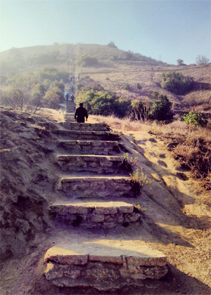 culver city stairs