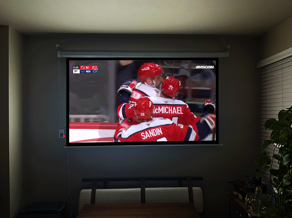 hockey projector