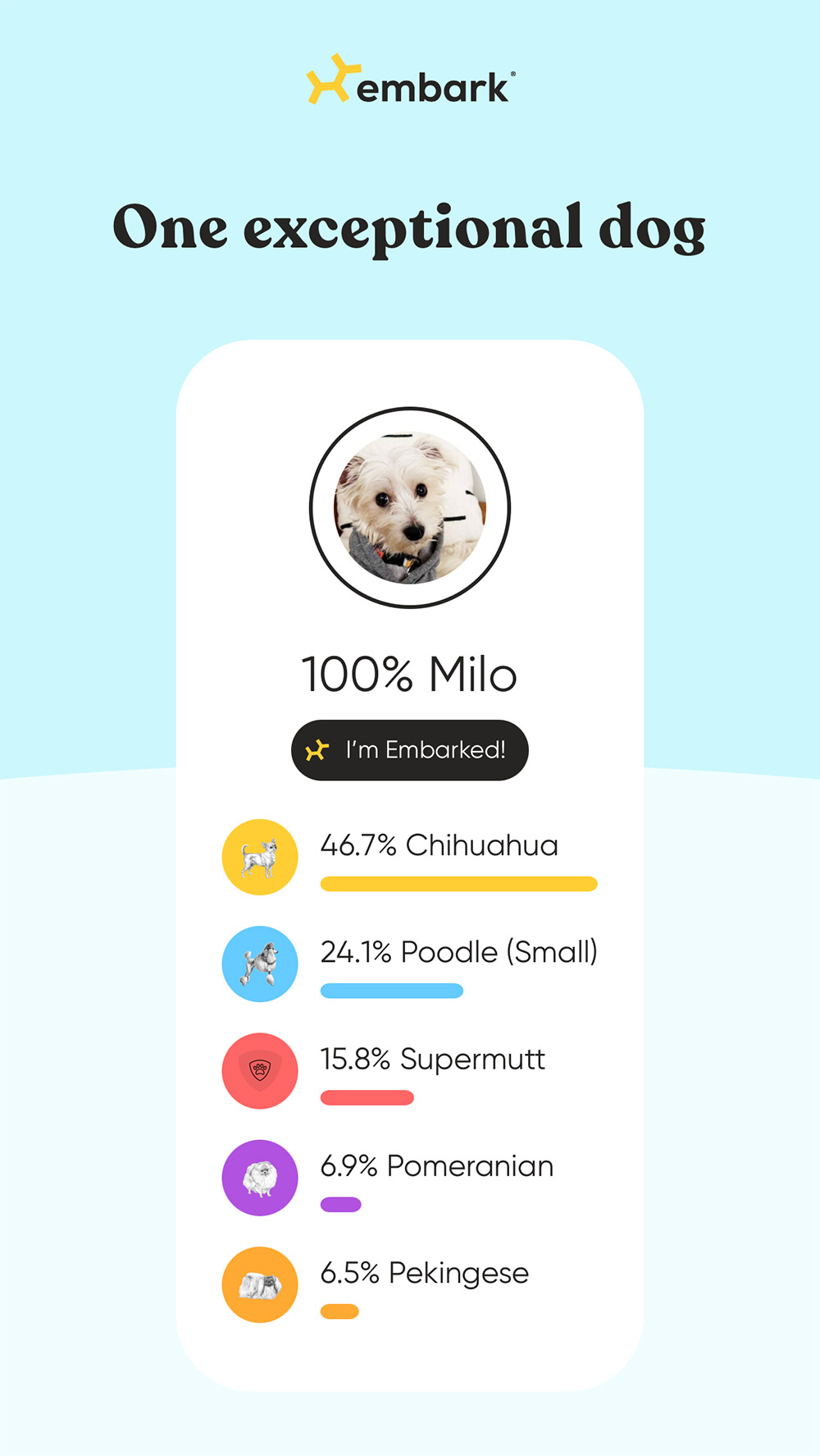 embark dog dna results