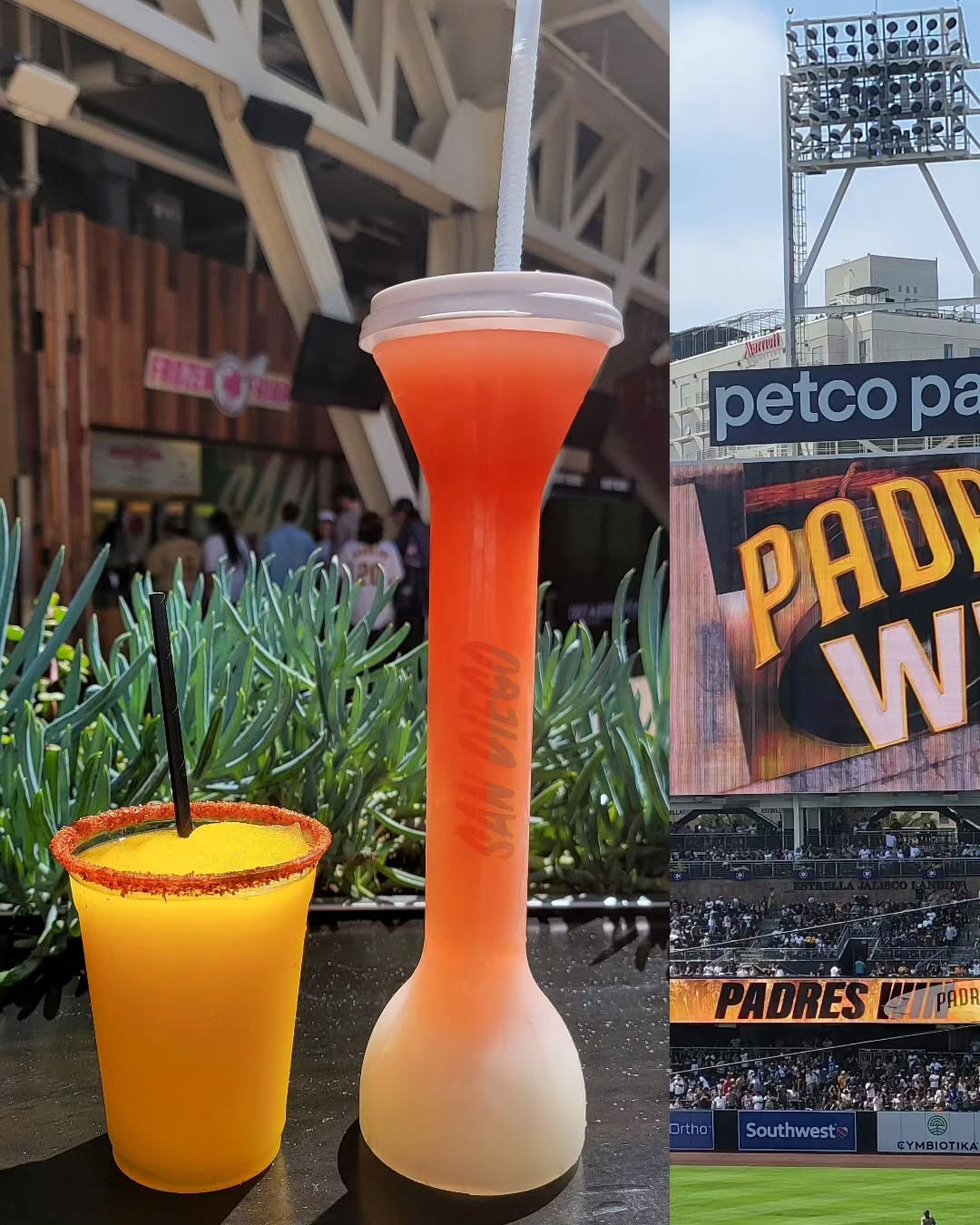 padres petco park