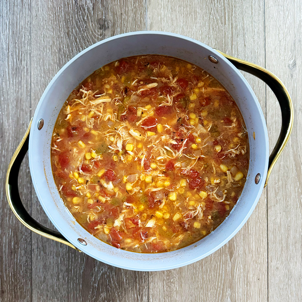 gluten-free dairy-free chicken tortilla soup