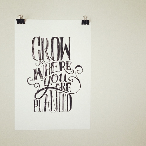 grow where you are planted