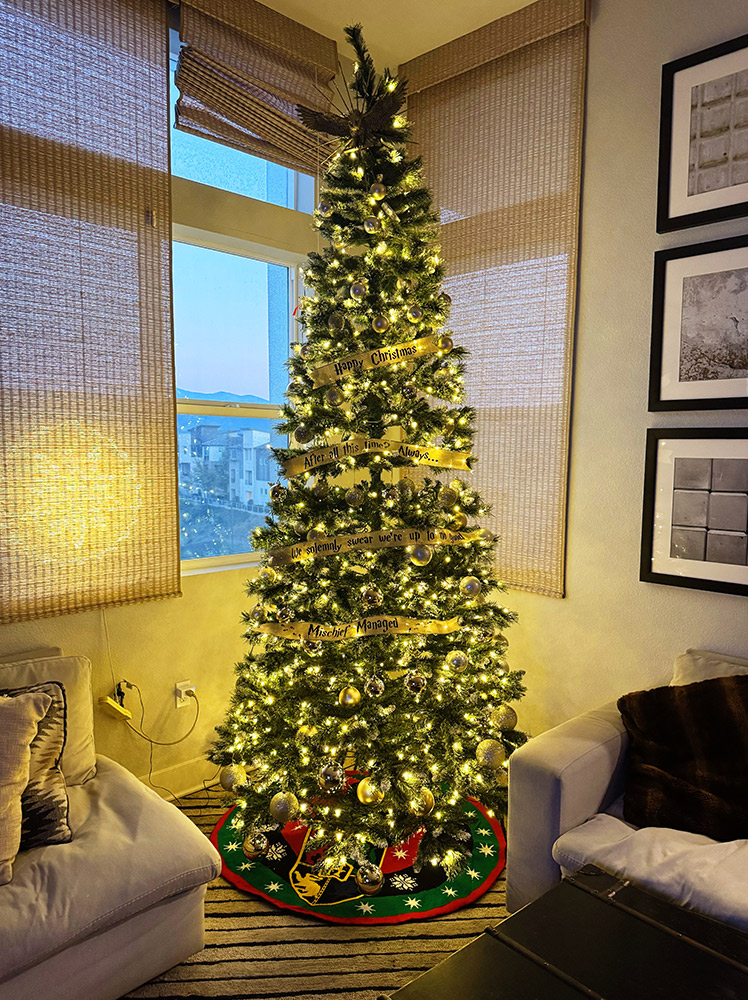 harry potter christmas