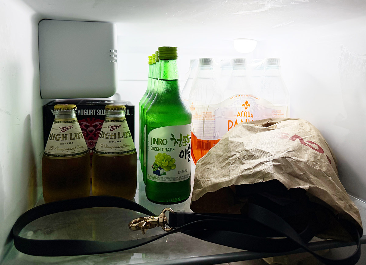 dog leash in fridge