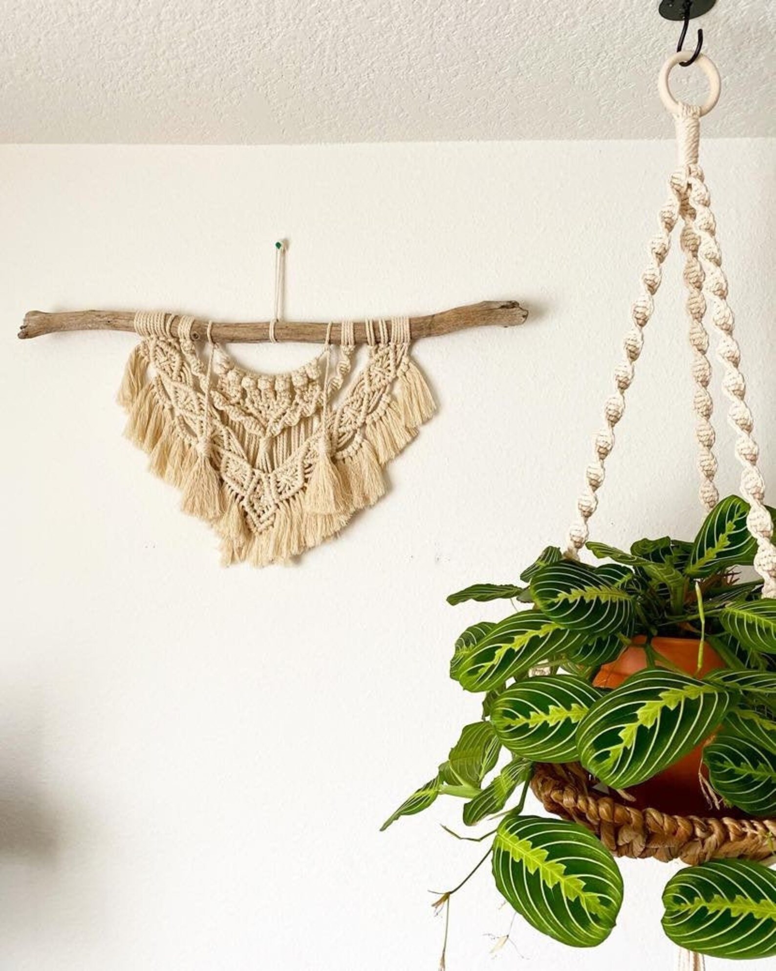 Driftwood Hanging Macrame