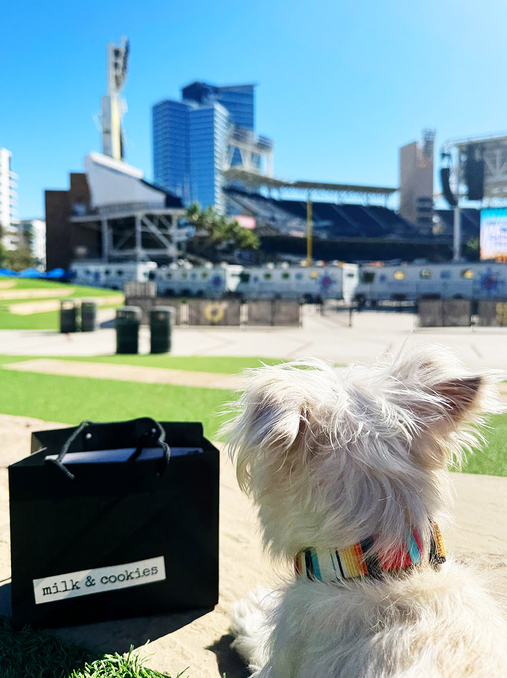 milk & cookies - petco park - dog friendly