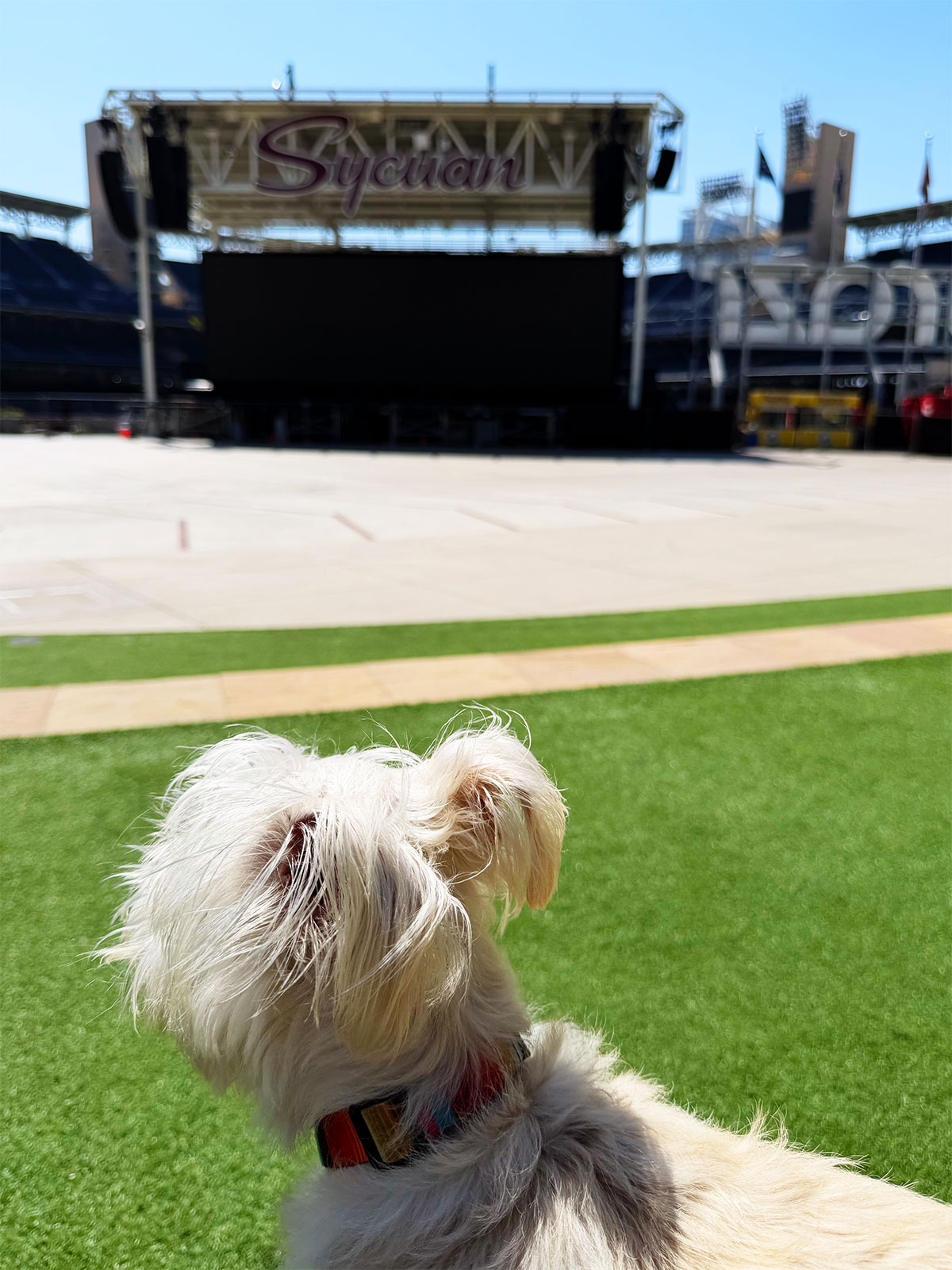 milo petco park