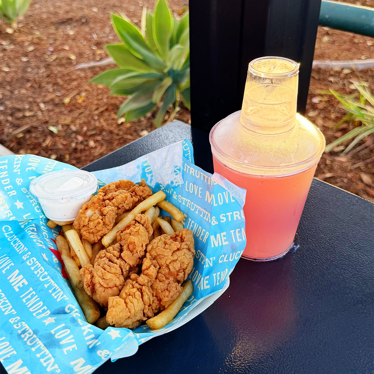 nicu amphitheatre chicken tenders cocktail shaker drink