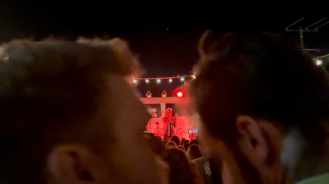 concert view