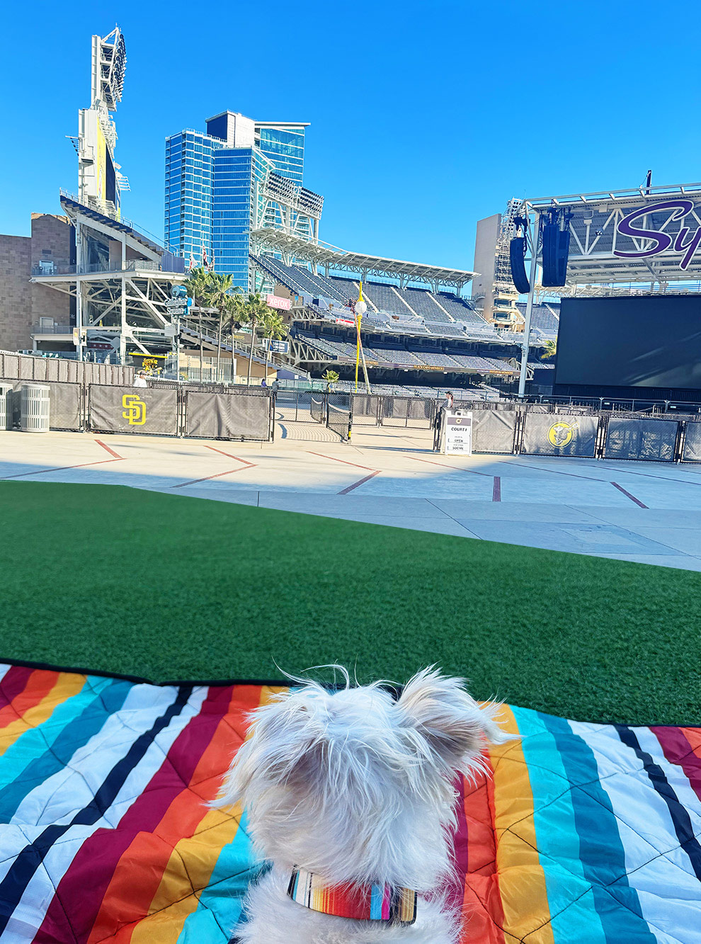 dog serape collar and blanket petco park