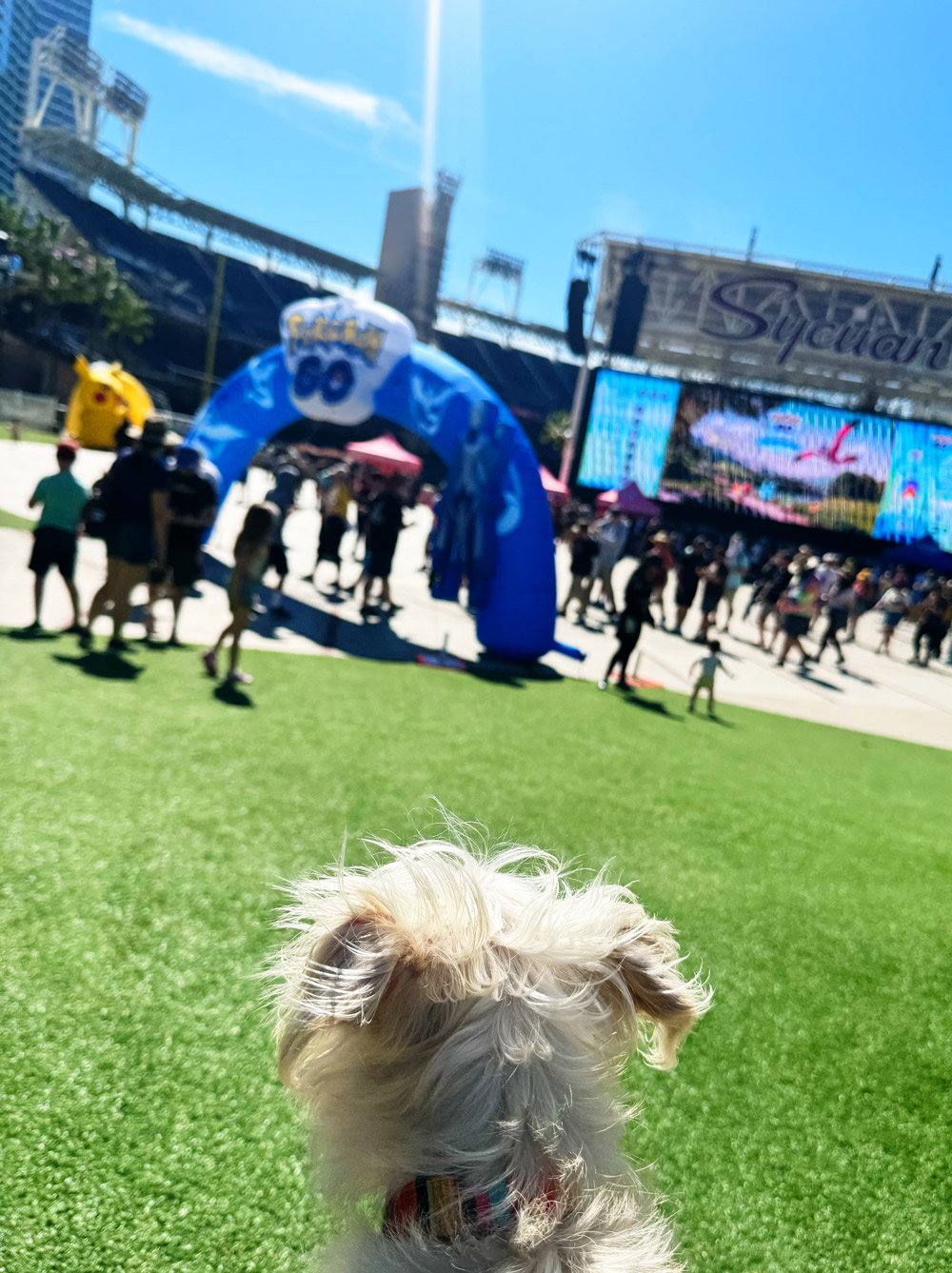 petco park pokemon