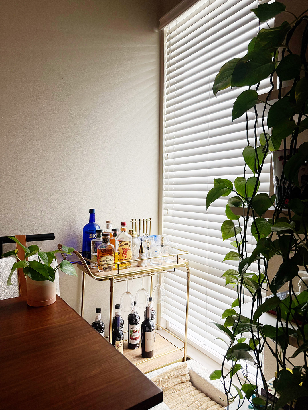 pothos propagation