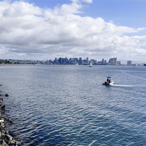 tom ham's lighthouse views
