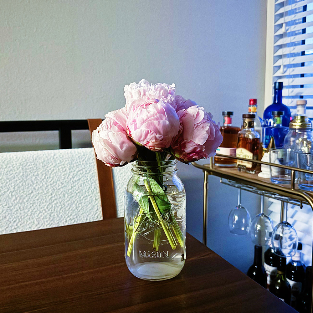 trader joe's peonies