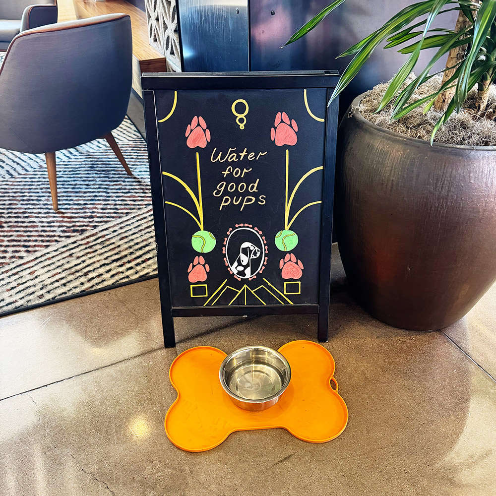 hotel water for good pups